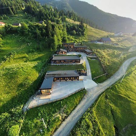 Panoramic Residence Borşa Dış mekan fotoğraf