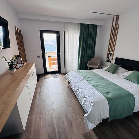Panoramic Residence Borşa Dış mekan fotoğraf