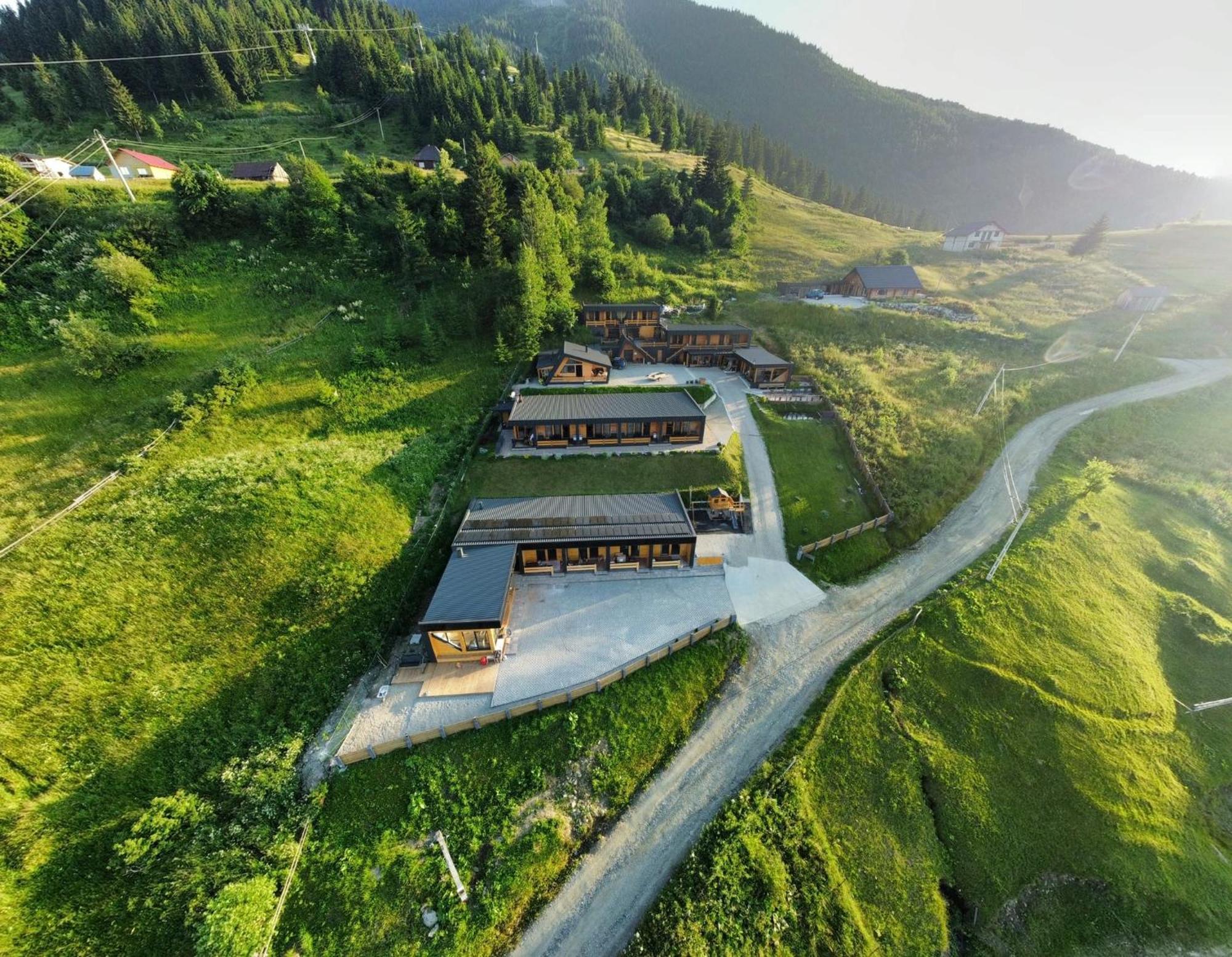 Panoramic Residence Borşa Dış mekan fotoğraf
