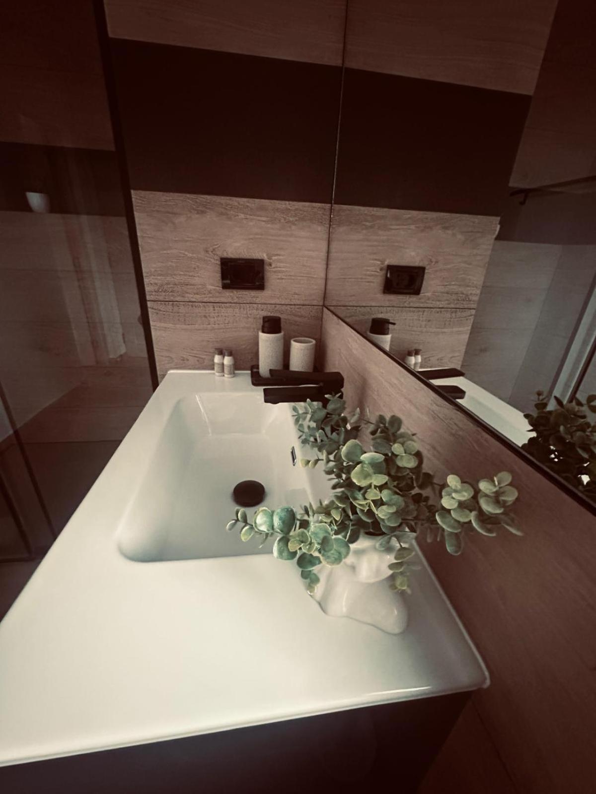Panoramic Residence Borşa Dış mekan fotoğraf