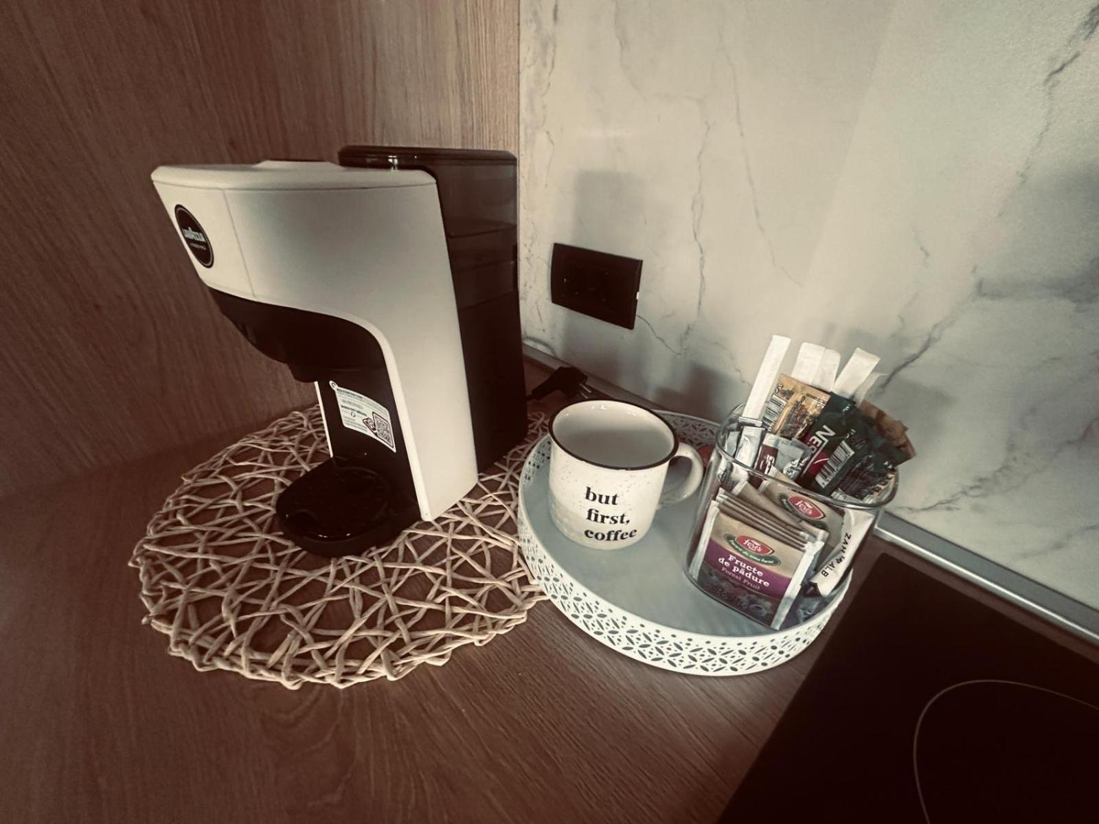 Panoramic Residence Borşa Dış mekan fotoğraf