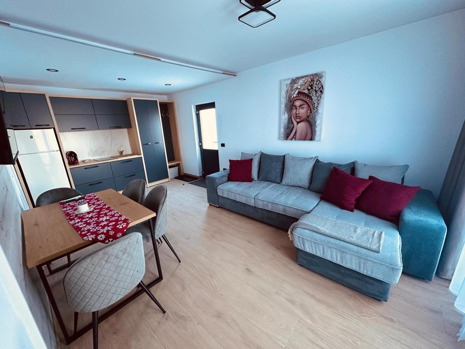 Panoramic Residence Borşa Dış mekan fotoğraf
