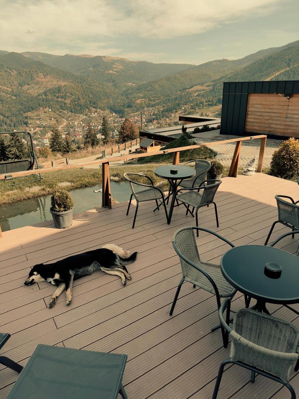 Panoramic Residence Borşa Dış mekan fotoğraf